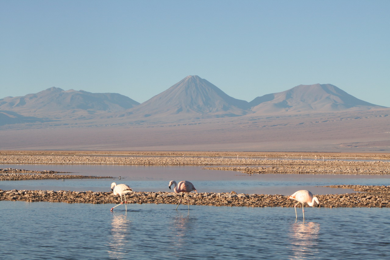 Tour Salar de Atacama