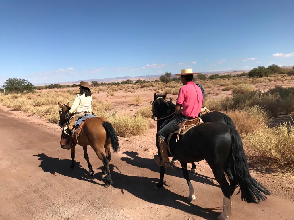 cabalgatas