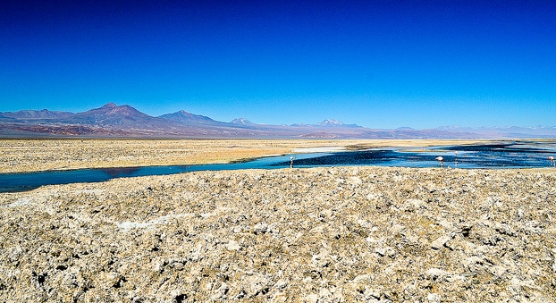 laguna chaxa. San pedro de Atacama